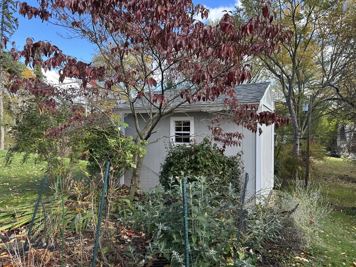 2025 shed project completed photo